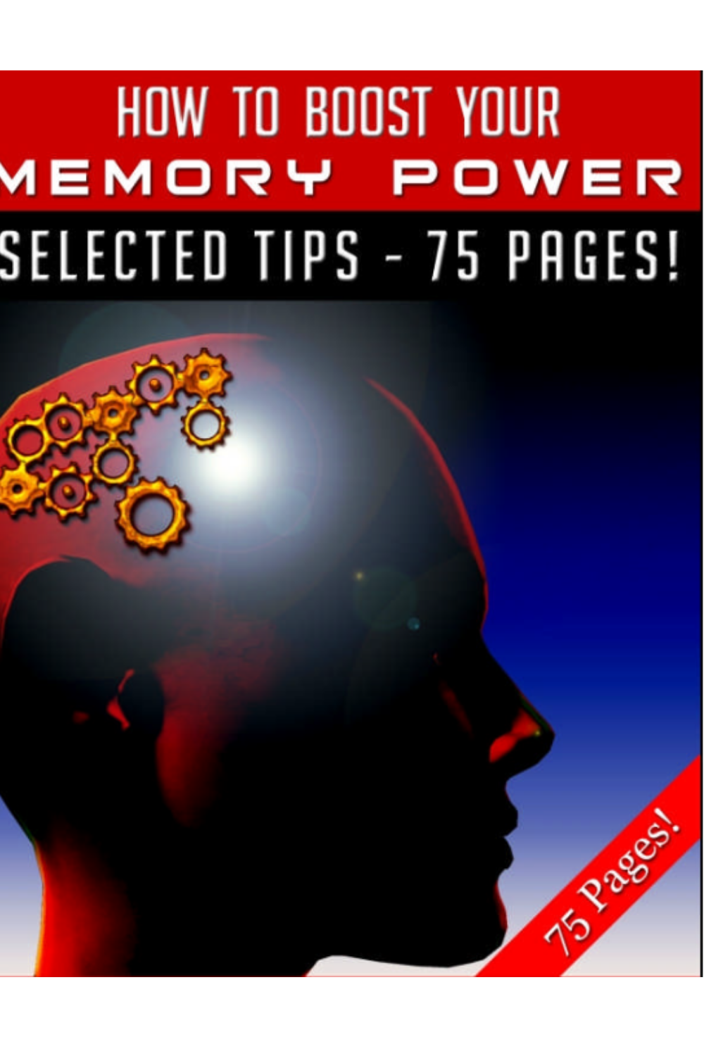 Enhance Your Reminiscence Energy