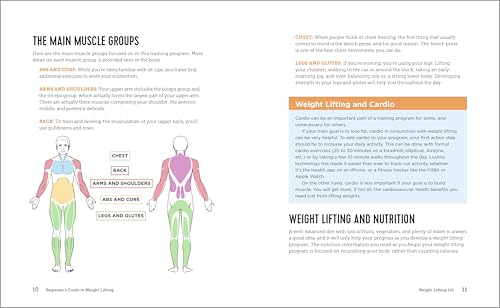 Newbie's Information to Weight Lifting: Easy Workout routines and Exercises to Get Robust - Image 3