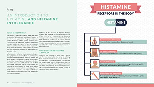The 4-Section Histamine Reset Plan: Attending to the Root of Migraines, Eczema, Vertigo, Allergic reactions and Extra - Image 3