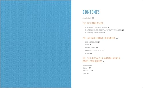 Newbie's Information to Weight Lifting: Easy Workout routines and Exercises to Get Robust - Image 2