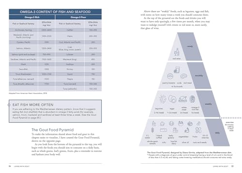 The Full Gout Administration and Diet Information: Empowering Methods for Higher Well being - Image 4
