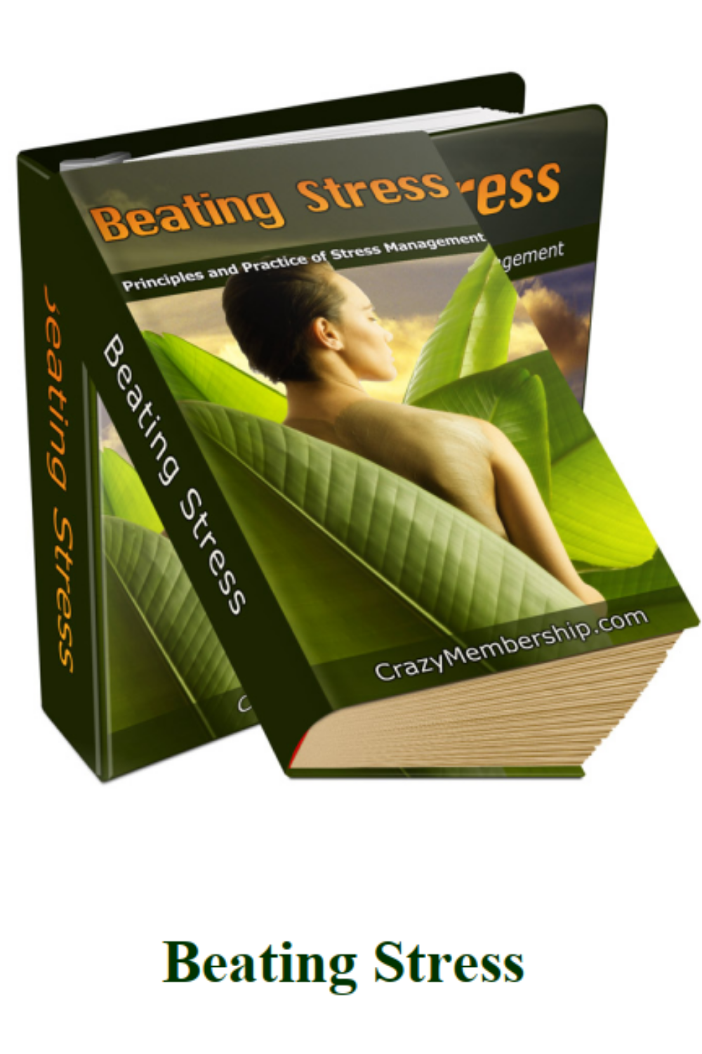 Beating Stress